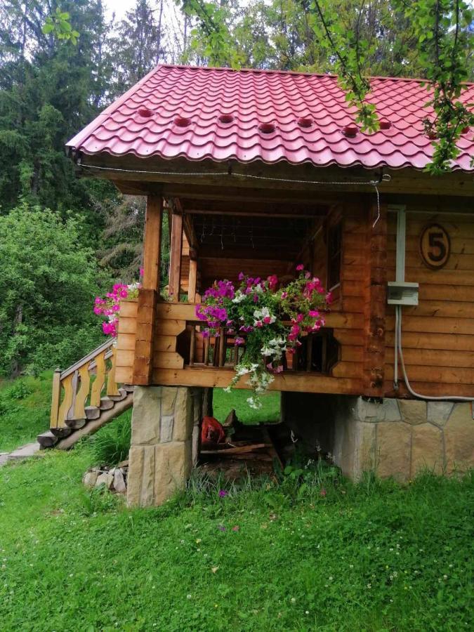 Микулин Хутірець Mikulicsin Kültér fotó